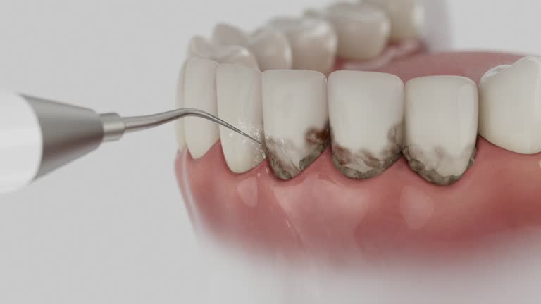 Reliable Dental contractor in Perham, MN by Dentist Open Now